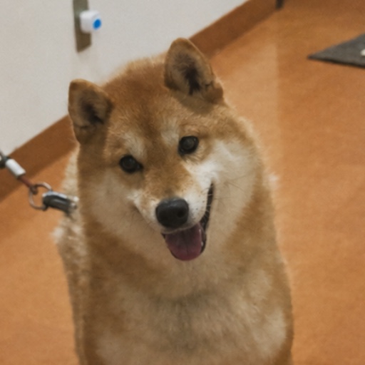 壱