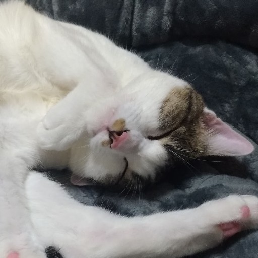 みゅう