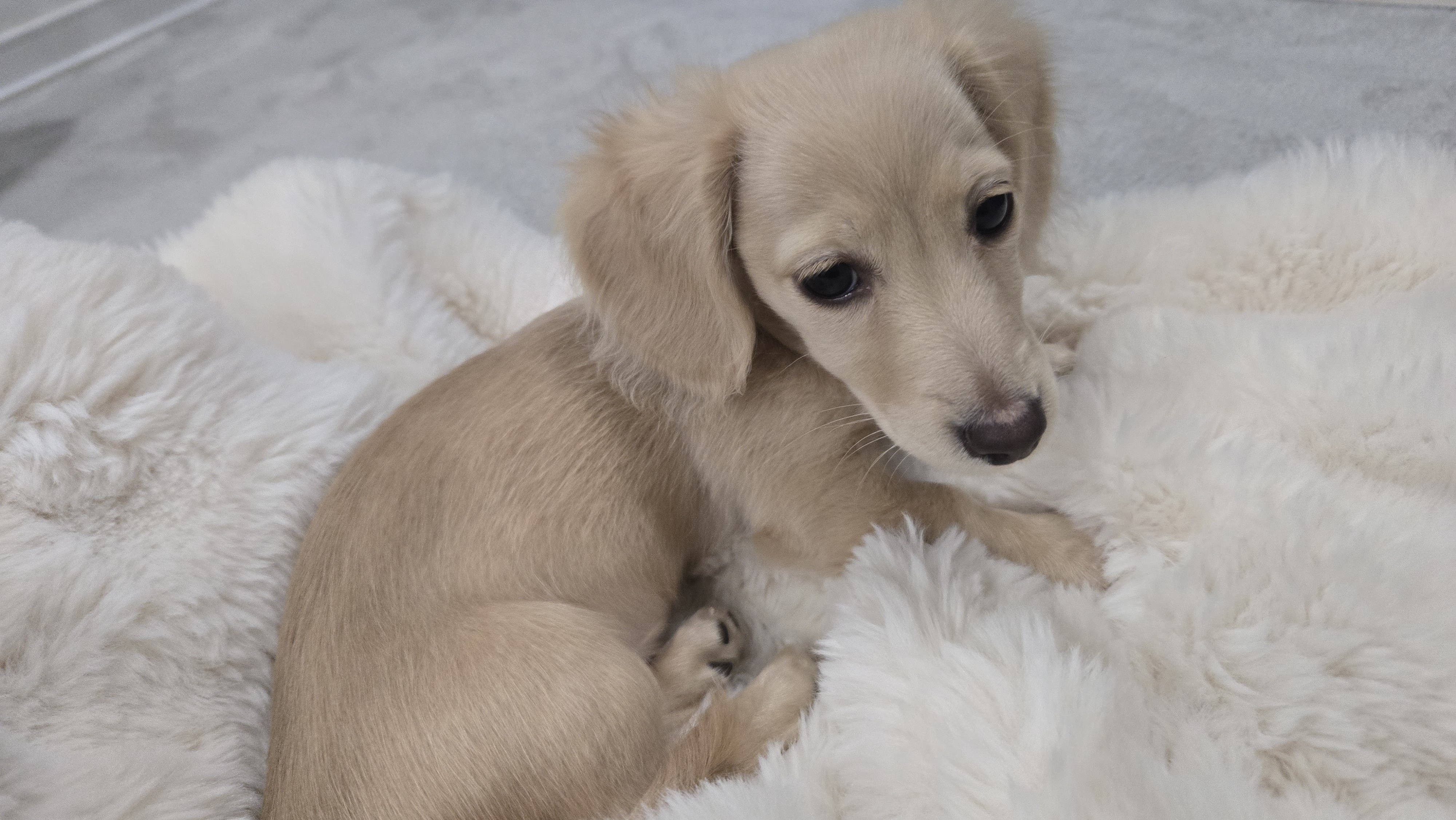 RiRi