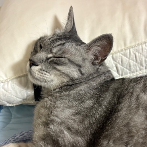 くっきー