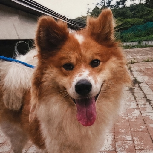 ソラ