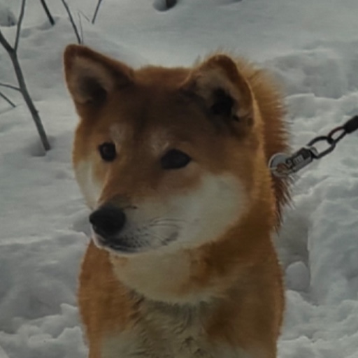 てつ