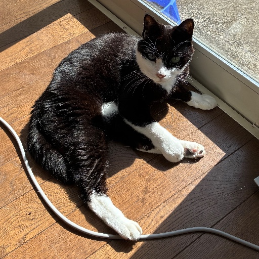 トト