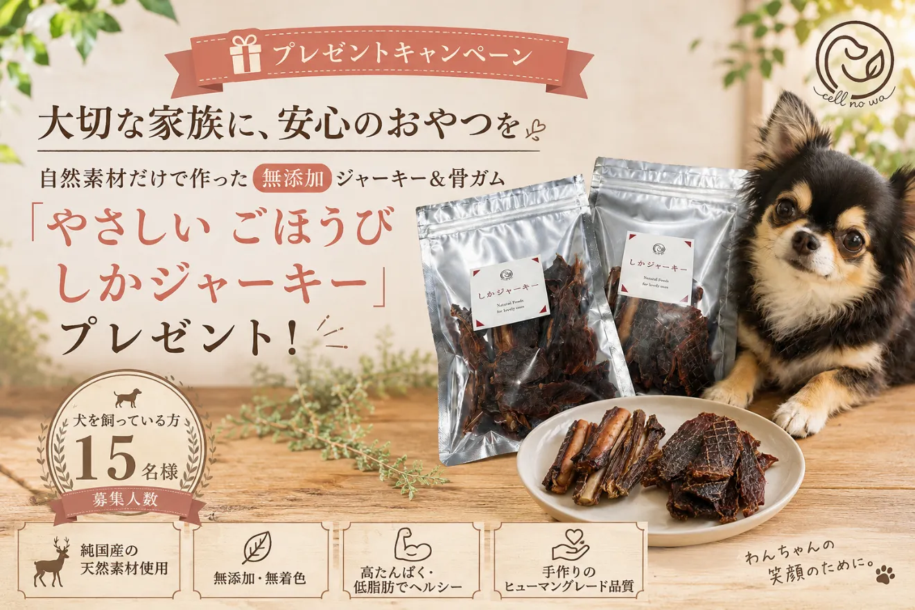トップバナー