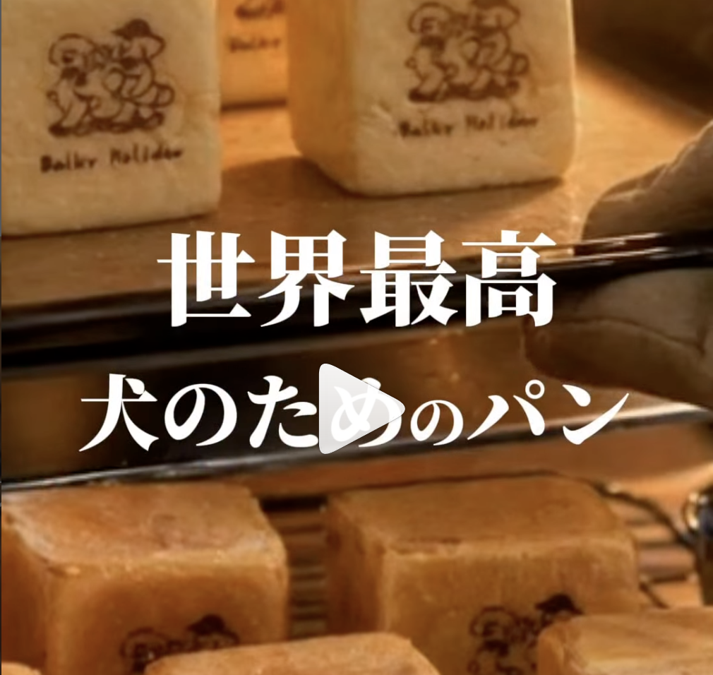 動画サムネイル