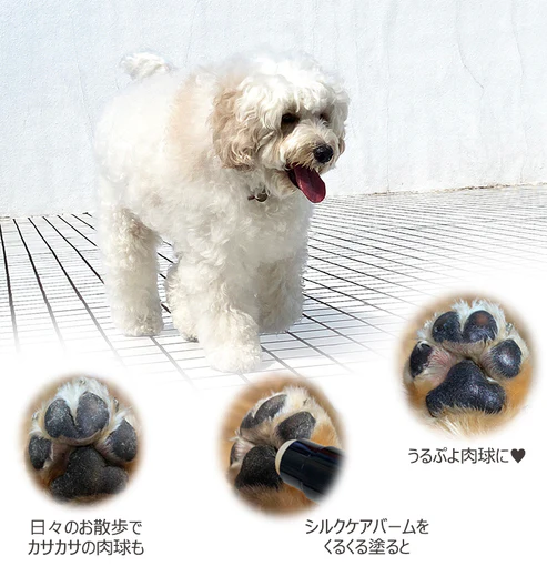 TEGSUMI シルクケアバーム 肉球クリーム