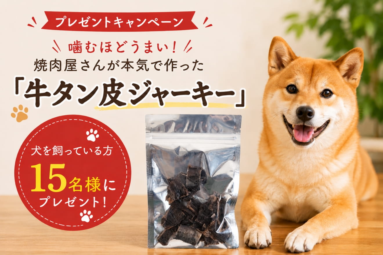 トップバナー