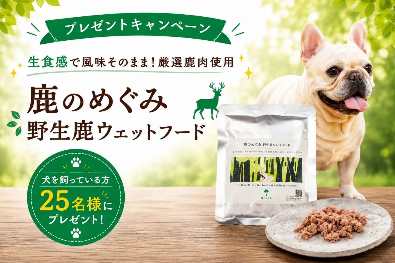 トップバナー