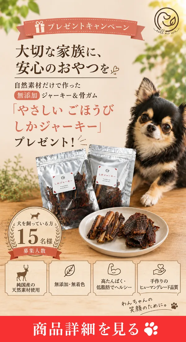 バナー