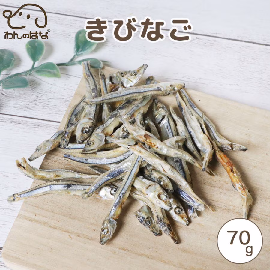 わんのはな きびなご