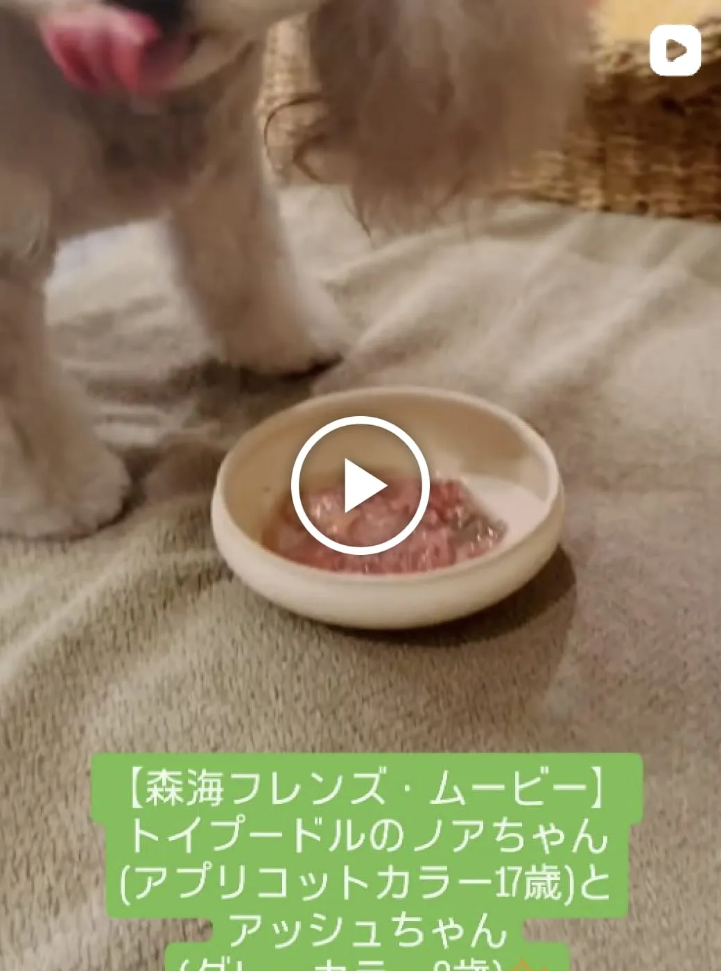 動画サムネイル