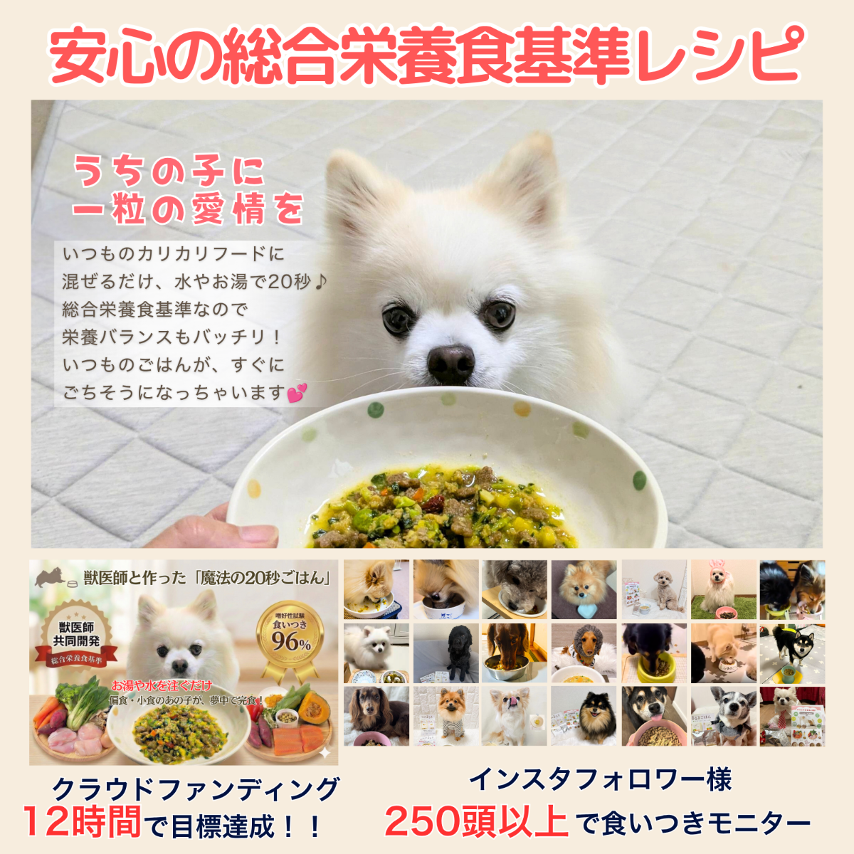 そららのるるる　手作りフリーズドライごはん、偏食の子向け　総合栄養食基準レシピ　チキン＆サーモンお試し６個セット