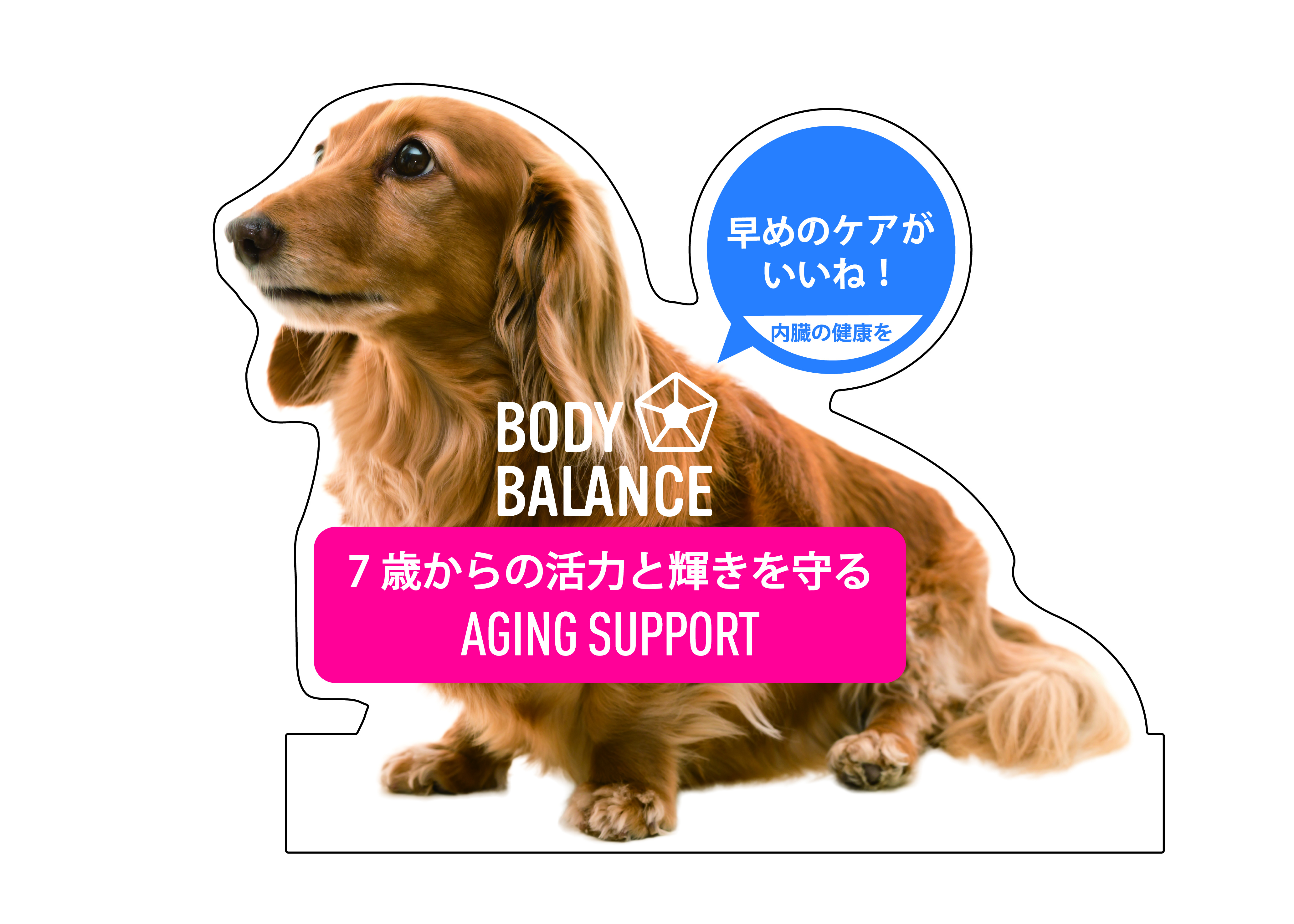 BODY BALANCE エイジングサポート　１０ｋｇ