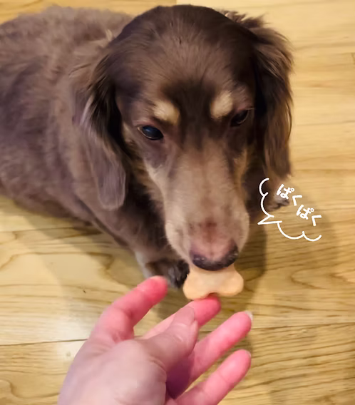  紅イモCookie