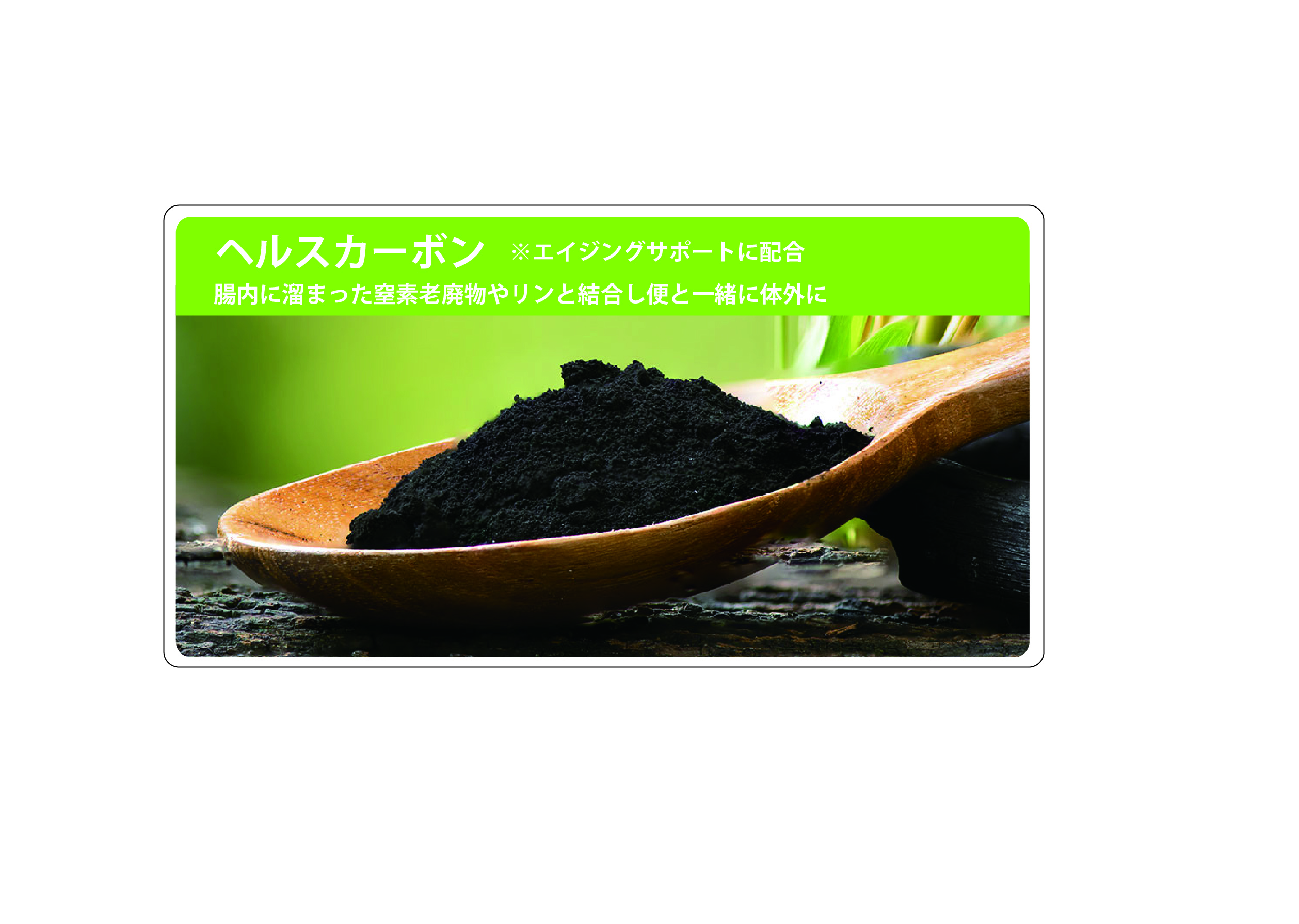 BODY BALANCE エイジングサポート　１０ｋｇ