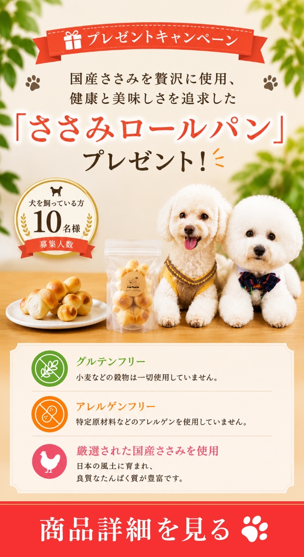 バナー