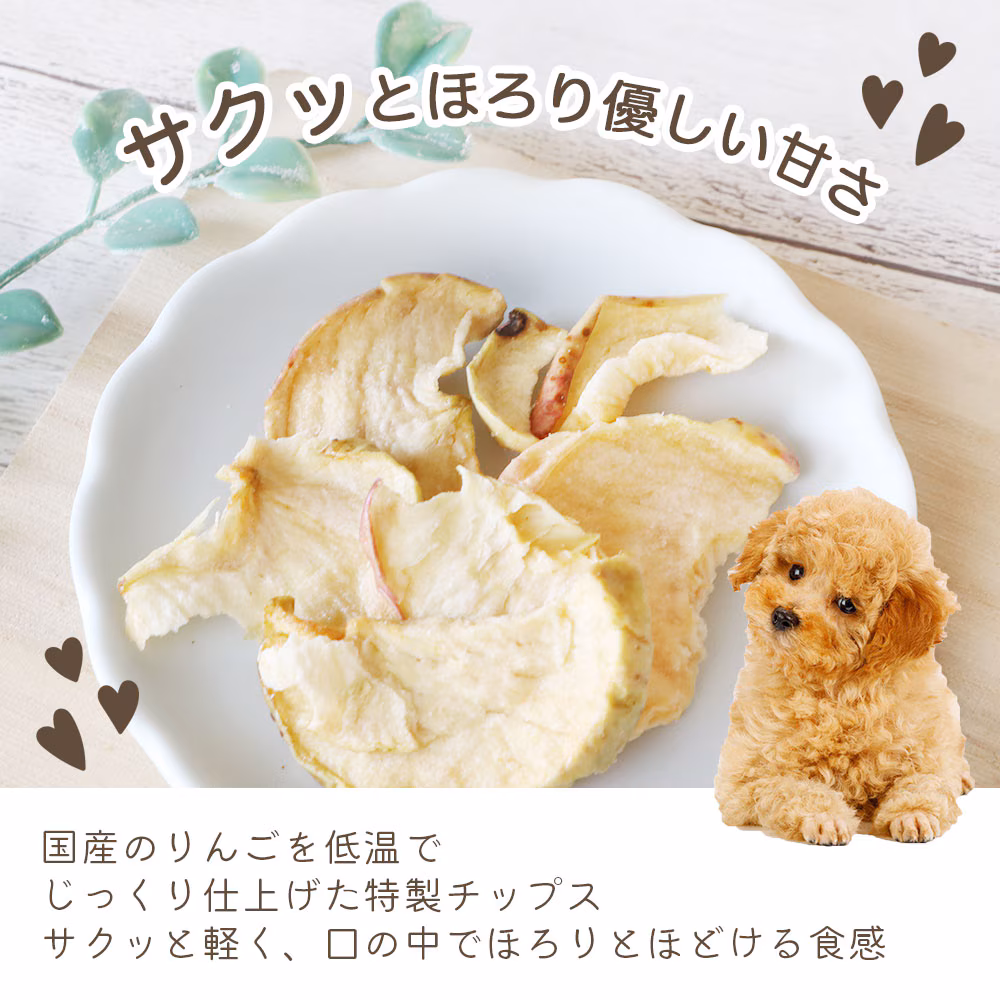 わんのはな サクほろりんごチップス 無添加おやつ リンゴ