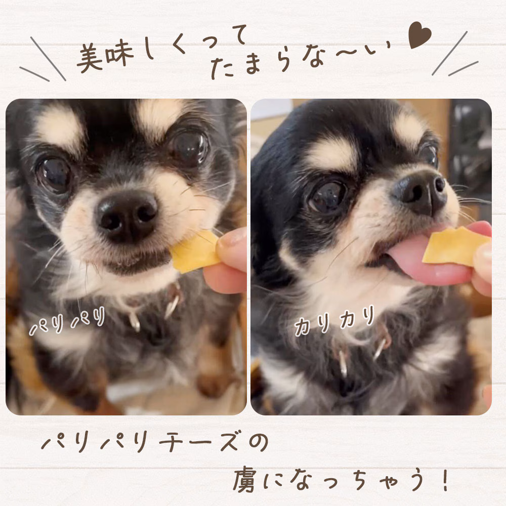 わんのはな ご褒美パリッと薄切りチーズ