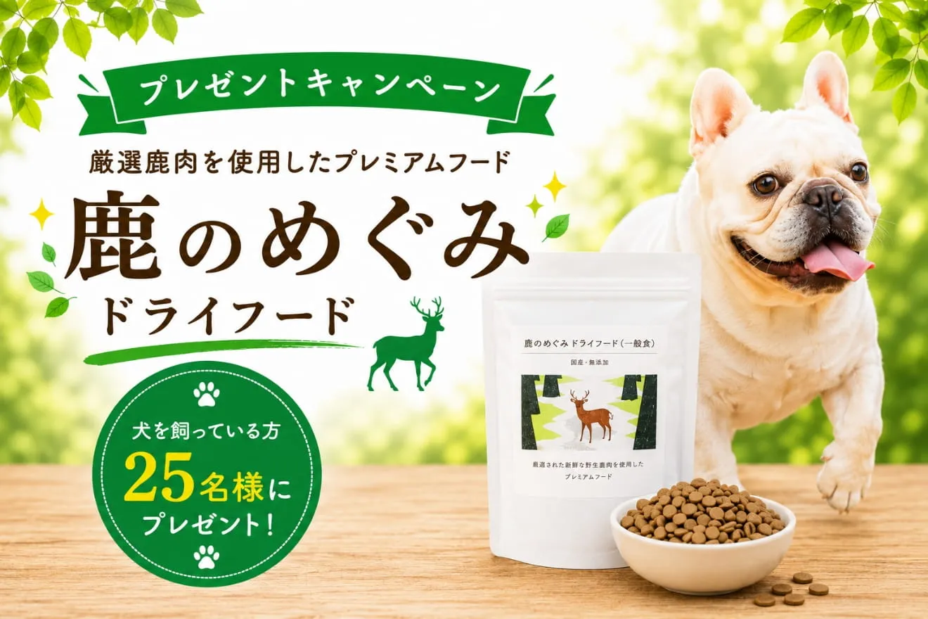 トップバナー