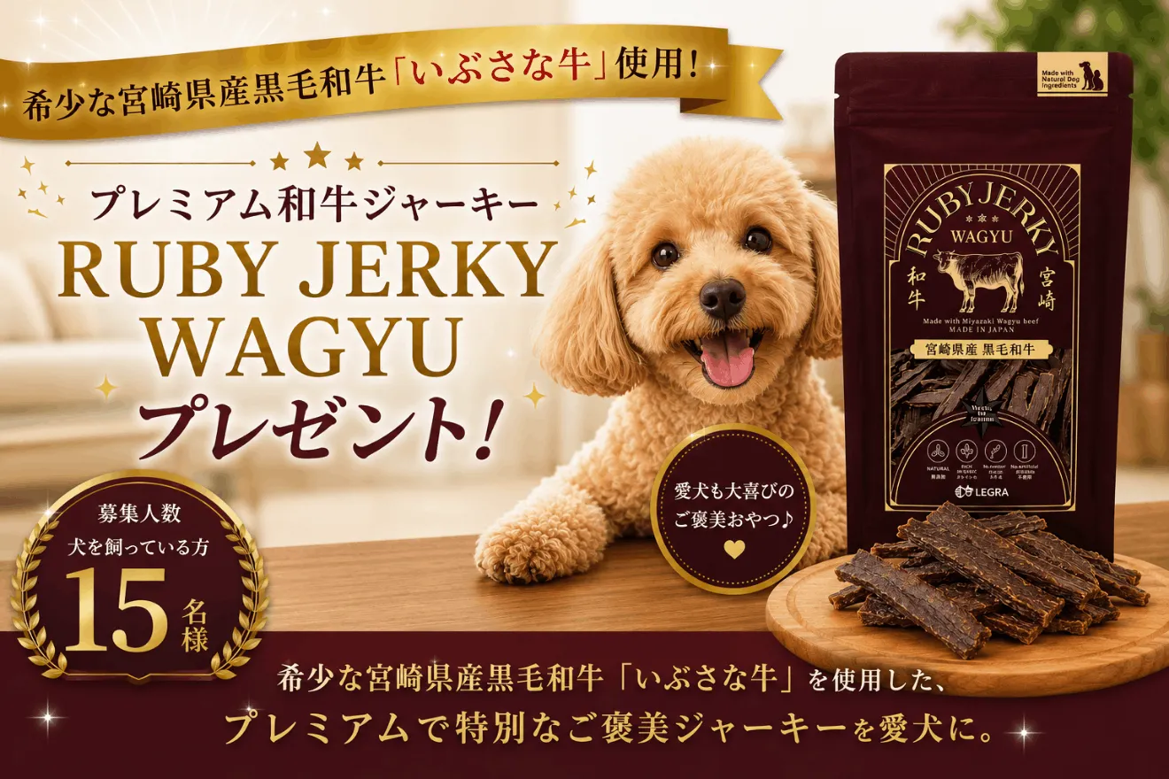 トップバナー