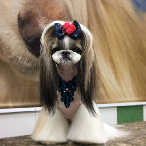 coco1015