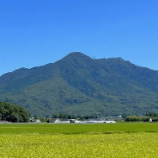 ななみ